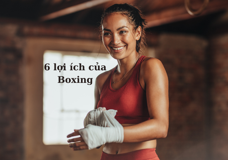Những lợi ích của Boxing