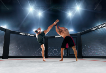 Tìm hiểu về võ tổng hợp MMA