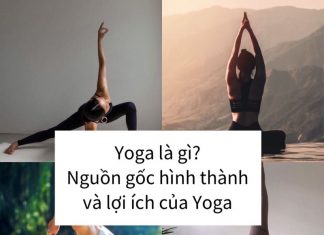Yoga là gì nguồn gốc và lợi ích của yoga